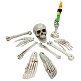 Bob 9 pièces squelette factice