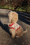 cherry knit dog vest - cherry