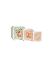 Lunchbox Set of 3 | Bear and Friends