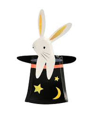 Bunny In Hat Shaped Plates