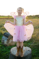 Gold Butterfly Dress & Wings 5 - 7 years