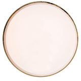 Party Palette Dinner Plates