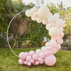 Nude and Pink Balloon Arch Kit