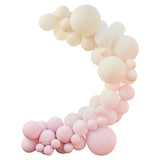 Nude and Pink Balloon Arch Kit