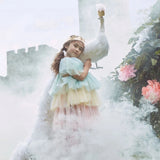 Rainbow Ruffle Princess Costume (3-4 years)